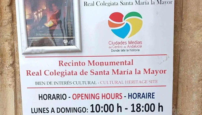 Real Colegiata De Santa Maria La Mayor Videos - Antequera
