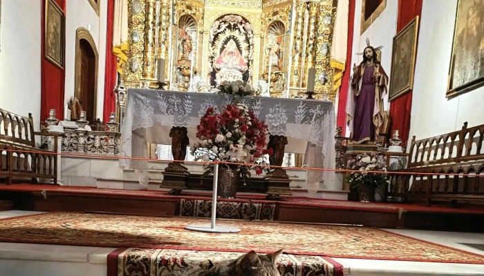 Real Santuario De Nuestra Senora De Las Nieves Precios - Santa Cruz de la Palma