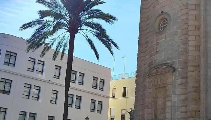 Santa Iglesia Catedral -  Videos - Cádiz