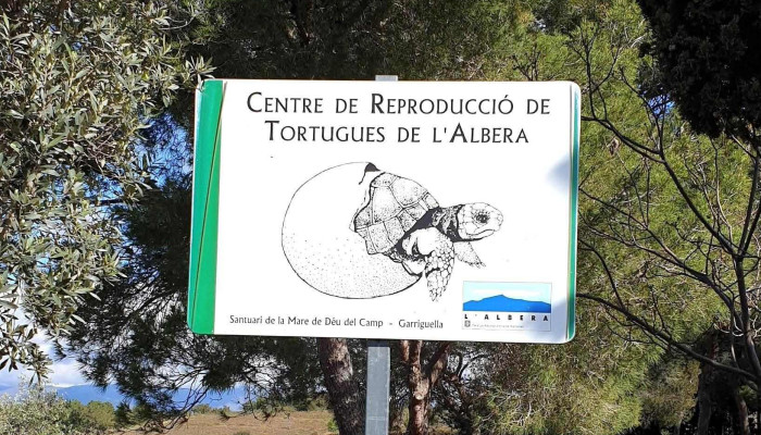 Santuari Mare De Deu Del Camp -  Centro De Reproduccion De Tortugas De La Albera - Garriguella