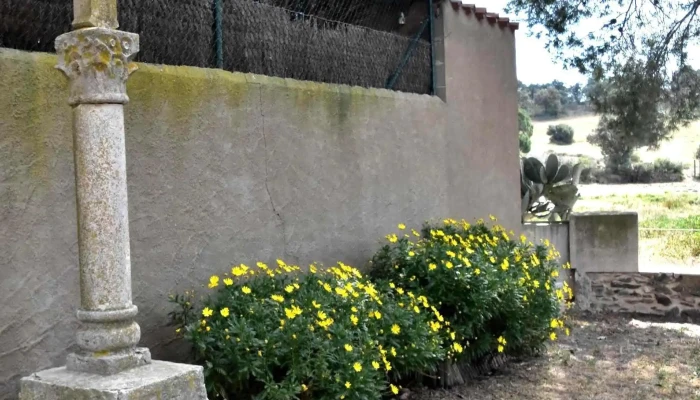 Santuari Mare De Deu Del Camp -  Numero - Garriguella
