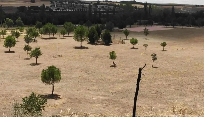 Santuario De Nuestra Senora De Riansares Comentario 9 - Tarancón